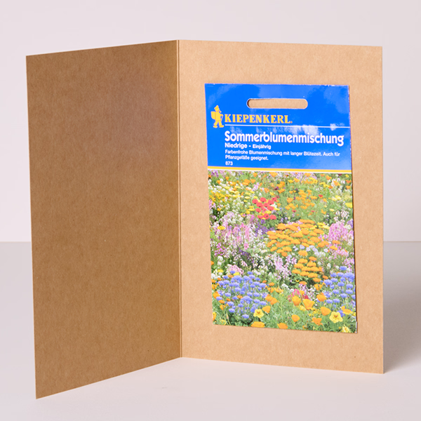 Greeting Card with Flower Seeds