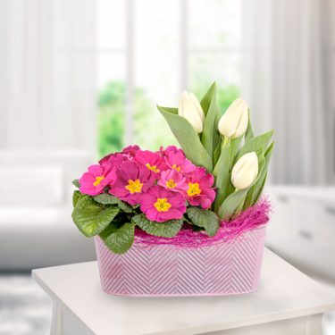 Flower Arrangement Frühlingsglück Flower Arrangement Frühlingsglück