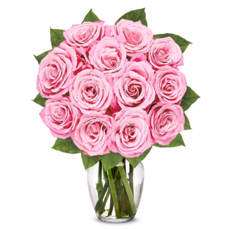 One Dozen Light Pink Roses