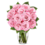 12 rosa Rosen