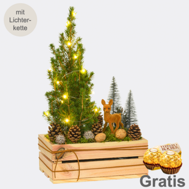 Arrangement Winterkuss mit Lichterkette & mit 2 Ferrero Rocher