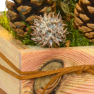 Arrangement Winterkuss mit Lichterkette & mit 2 Ferrero Rocher