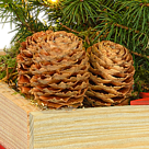 Arrangement Weihnachtsleuchten mit Lichterkette, mit 2 Ferrero Rocher