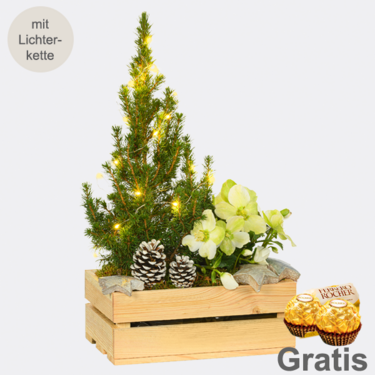 Arrangement Winterwunderland mit Lichterkette & mit 2 Ferrero Rocher