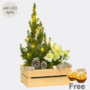 Arrangement Winterwonderland with X-Mas lights & with 2 Ferrero Rocher