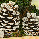 Arrangement Winterwunderland mit Lichterkette & mit 2 Ferrero Rocher