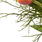 Blumenbund Kleines Glück mit Vase & Ferrero Giotto 3er