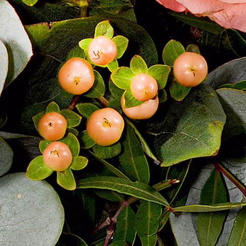 Blumenstrauß Morgentau mit Vase & Ferrero Giotto 3er