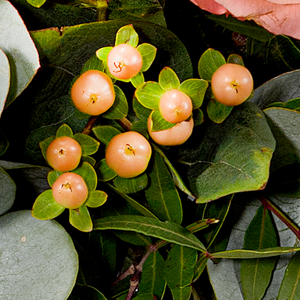 Flower Bouquet Morgentau with vase & 3 Ferrero Giotto