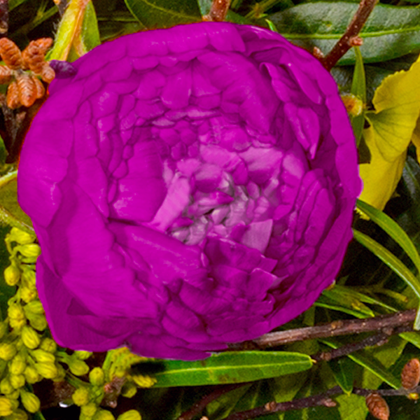 Blumenstrauß Farbenfreude mit Vase