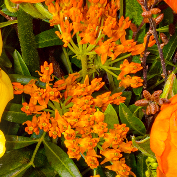 Flower Bouquet Frühlingsstrahl with vase & 3 Ferrero Giotto