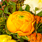 Blumenstrauß Frühlingsstrahl mit Vase & 2 Ferrero Rocher
