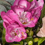 Blumenstrauß Frühlingsfee mit Vase & 2 Ferrero Rocher