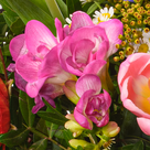 Premium Bouquet Blumenfreude with premium vase & 2 Ferrero Rocher