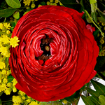 Premium Bouquet Blütenzauber with Premium Vase & 3 Ferrero Giotto