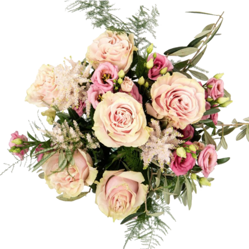 Rosentraum in Rosa