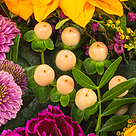 Blumenstrauß Herbstlichtung mit Vase & Ferrero Raffaello
