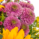 Blumenstrauß Herbstlichtung mit Vase & Ferrero Raffaello