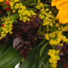 Premiumstrauß Herbstlicht mit Premiumvase & Ferrero Raffaello