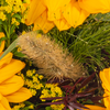 Premiumstrauß Herbstlicht mit Premiumvase & Teaballs & Ferrero Giotto 3er