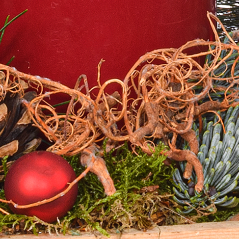 Red Arrangement in Wooden Box with 3 Ferrero Giotto
