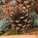 Rotes Adventsgesteck im Holzkasten