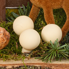Kerzentraum auf Holz mit 2 Ferrero Rocher