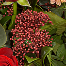 Blumenstrauß Winterschönheit mit Vase & 2 Ferrero Rocher