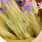 Dried Bouquet Little Beauty