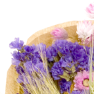 Dried Bouquet Little Beauty