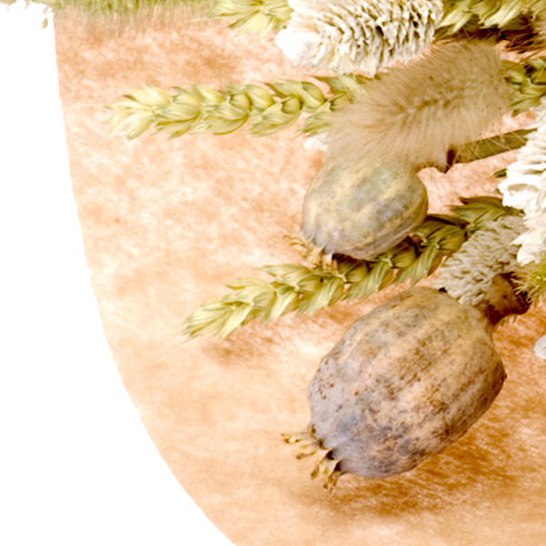 Trockenstrauß Delightful