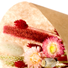 Dried Bouquet Morgenröte