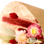 Dried Bouquet Morgenröte