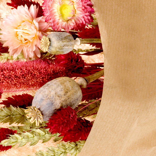 Dried Bouquet Morgenröte