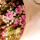Trockenstrauß Blumenwiese