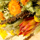 Dried Bouquet Herbsttag
