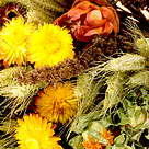 Dried Bouquet Herbsttag