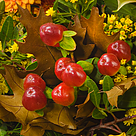 Blumenstrauß Herbstsymphonie mit Vase & 2 Ferrero Rocher