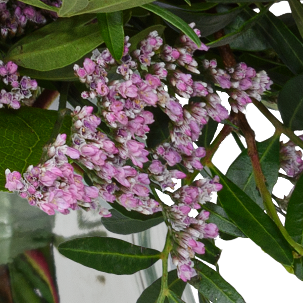 Flower Bouquet Lebensfreude with vase & 3 Ferrero Giotto & Teaballs