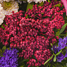 Blumenstrauß Herbstbrise mit Vase & 2 Ferrero Rocher