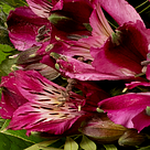 Flower Bouquet Herbstromanze with vase & 2 Ferrero Rocher