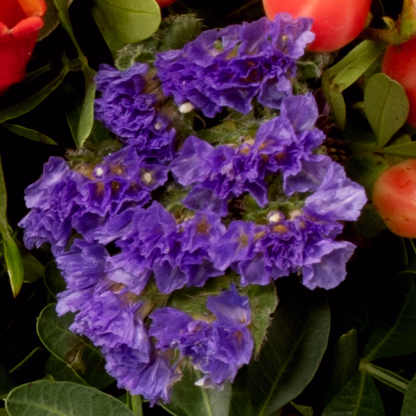 Blumenstrauß Herbstromanze mit Halloren Kugeln & Vase