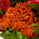 Blumenstrauß Blütenstar mit Vase & Ferrero Raffaello
