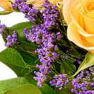 Blumenstrauß Landliebe mit Vase & 2 Ferrero Rocher