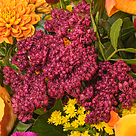 Blumenstrauß Herbsttraum mit Vase & 2 Ferrero Rocher