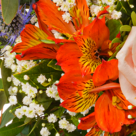 Premiumstrauß Herbstgefühl mit Premiumvase & Ferrero Raffaello