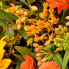 Premiumstrauß Herbstfarben mit Premiumvase & Teaballs & Ferrero Giotto 3er