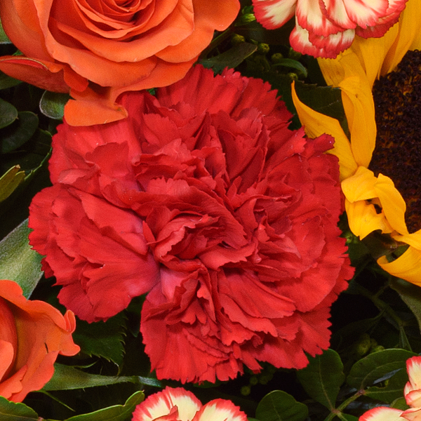 Premium Bouquet Herbstfarben with Premium Vase & Halloren Balls