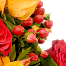 Premiumstrauß Herbstfeuer mit Premiumvase & Ferrero Raffaello
