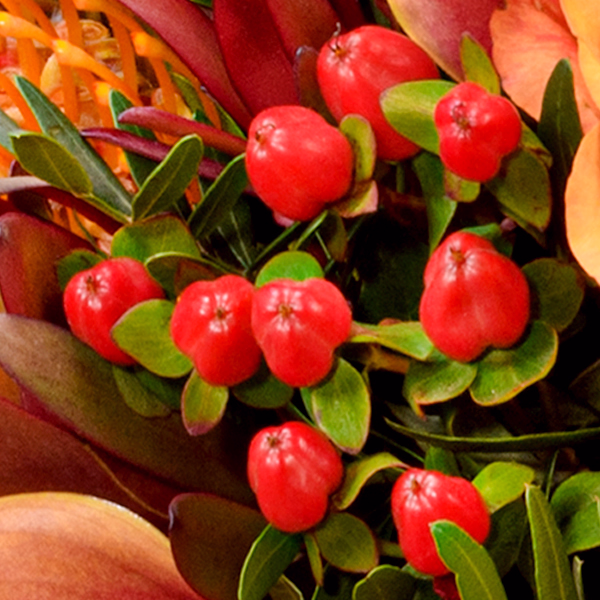 Premiumstrauß Herbstblüte mit Premiumvase & Halloren Kugeln